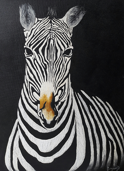 viaggio in Africa Zebra olio su tela 60x80